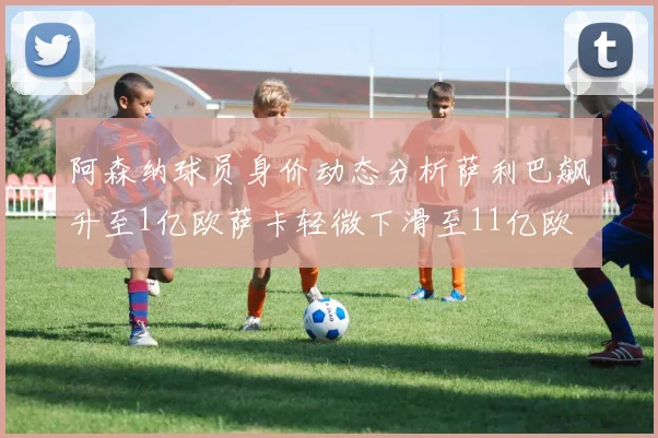 阿森纳球员身价动态分析萨利巴飙升至1亿欧萨卡轻微下滑至11亿欧